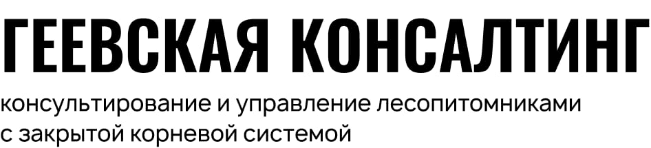 Компания «Геевская консалтинг»